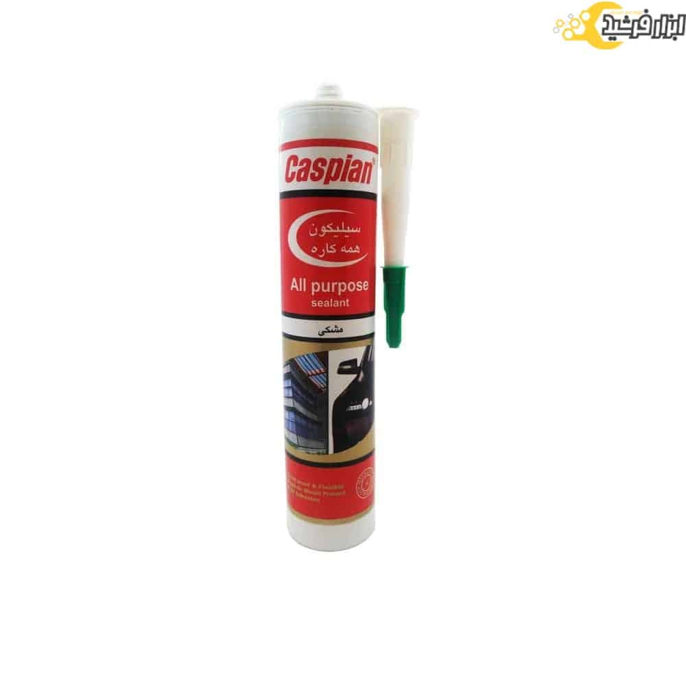چسب آکواریوم مشکی کاسپین 300 میلی لیتر