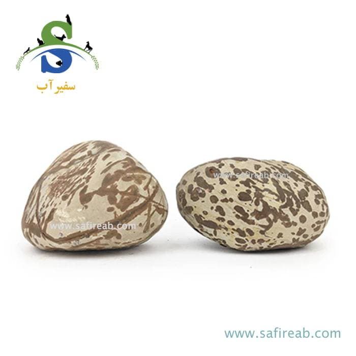 سنگ وارداتی آکواریوم مدل صخره قو