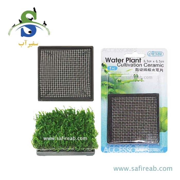 صفحه سرامیکی کشت گیاه مربعی (۶.۵*۶.۵ سانتی متر) ایستا کد E-DD05