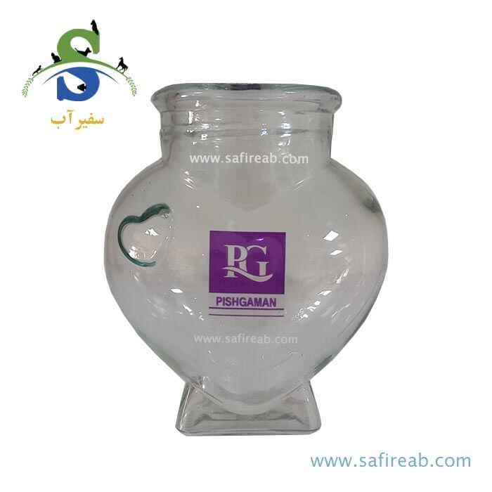 تنگ شیشهای کوچک ماهی پیشگامان