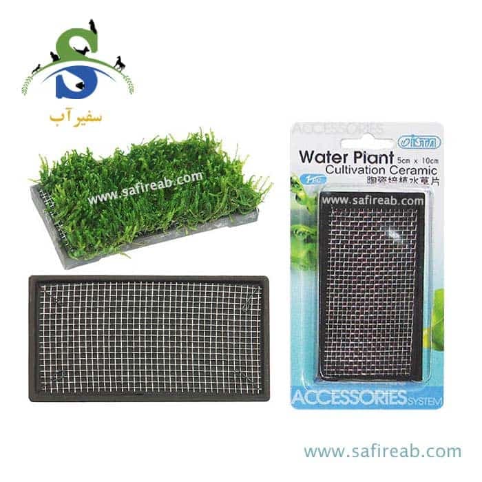 صفحه سرامیکی کشت گیاه مستطیلی (۵*۱۰ سانتی متر) ایستا