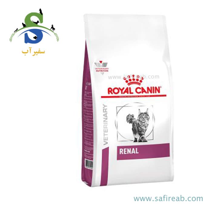 غذای خشک گربه رنال رویال کنین وزن 2 کیلوگرم