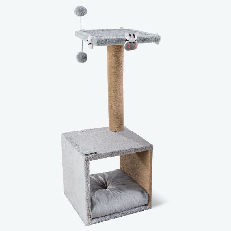 باکس اسکرچر نیناپت مدل عروسک دار A