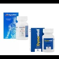 قرص مولتی ویتامین دایناول اروند فارمد | مولتی ویتامین مینرال با جینسینگ