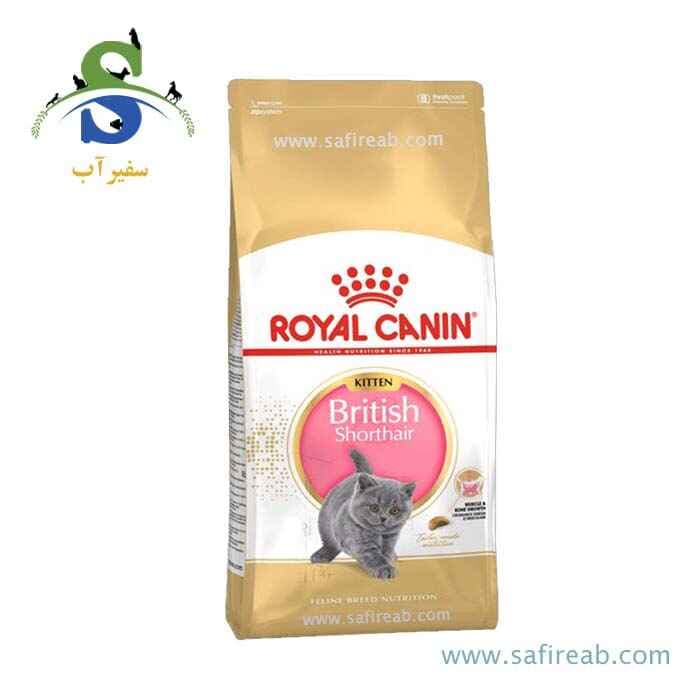 غذای خشک بچه گربه مو کوتاه بریتیش رویال کنین وزن ۲ کیلوگرم