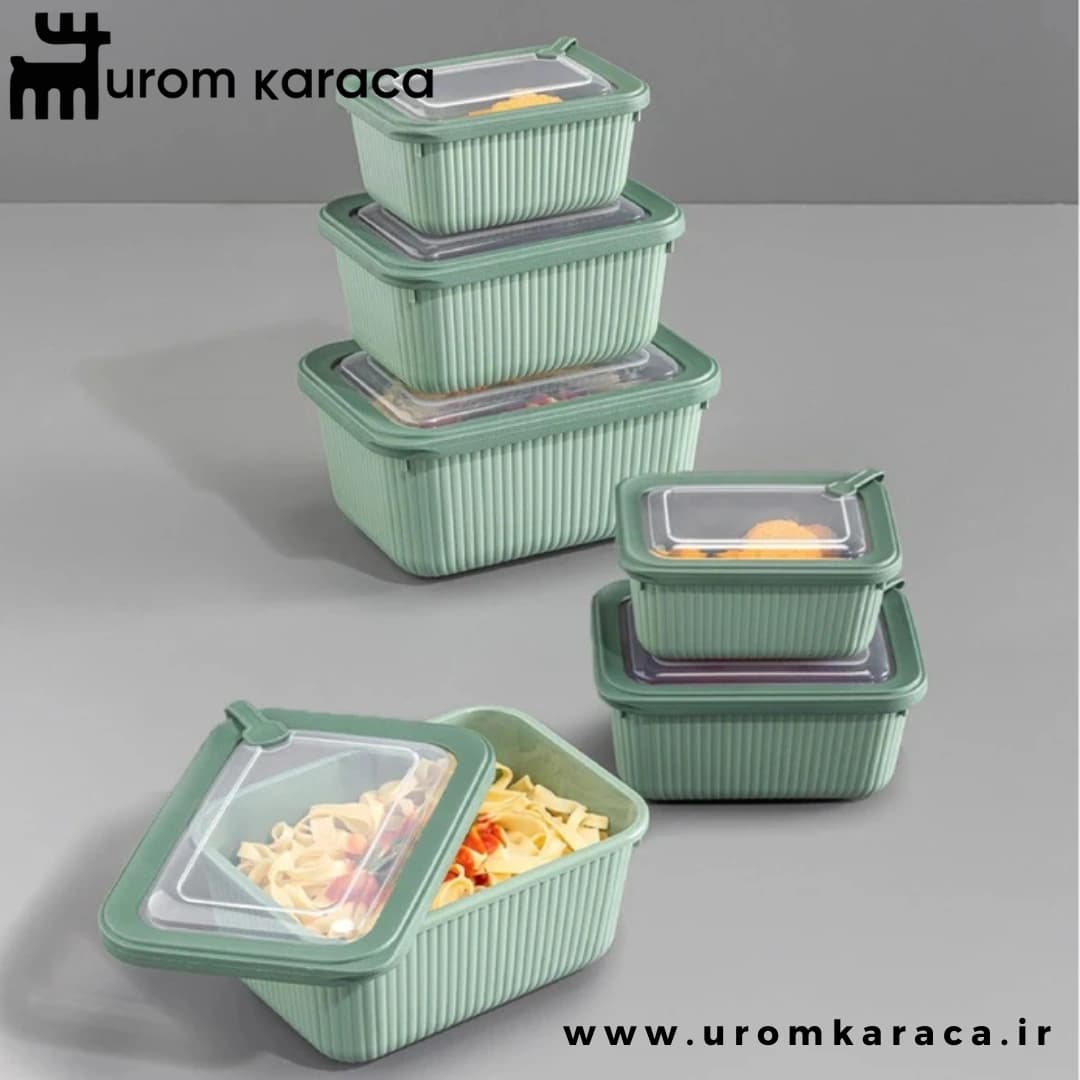 ظرف نگهدارنده ۶ عددی Vienev وینف سبز