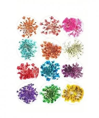 دیزاین گل های خشک پک 12 عددی