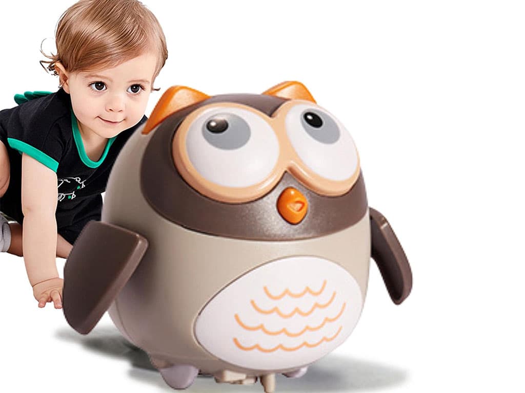 جغد راهرو اسباب بازی