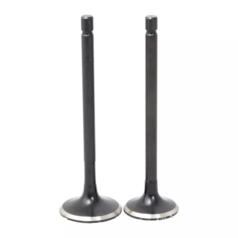 سوپاپ وگو اچ ال ایکس راکس آپاچی 150