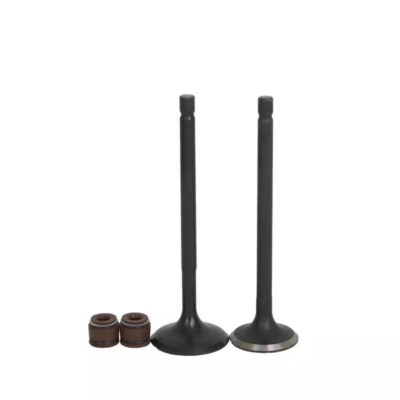 سوپاپ وگو اچ ال ایکس آپاچی 150 راکس واروک