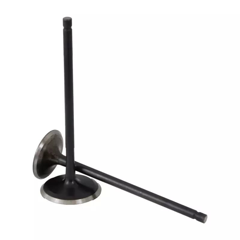 سوپاپ پالس 180 اصلی