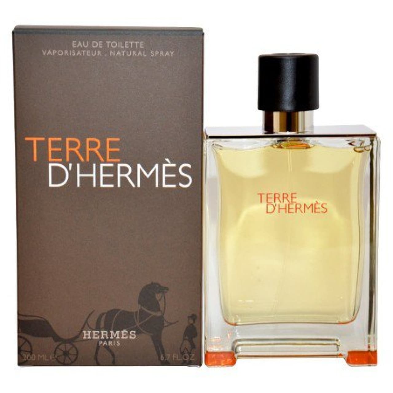 ادکلن مردانه تق هرمس حجم 100 میل HERMES TERRE D’HERMES
