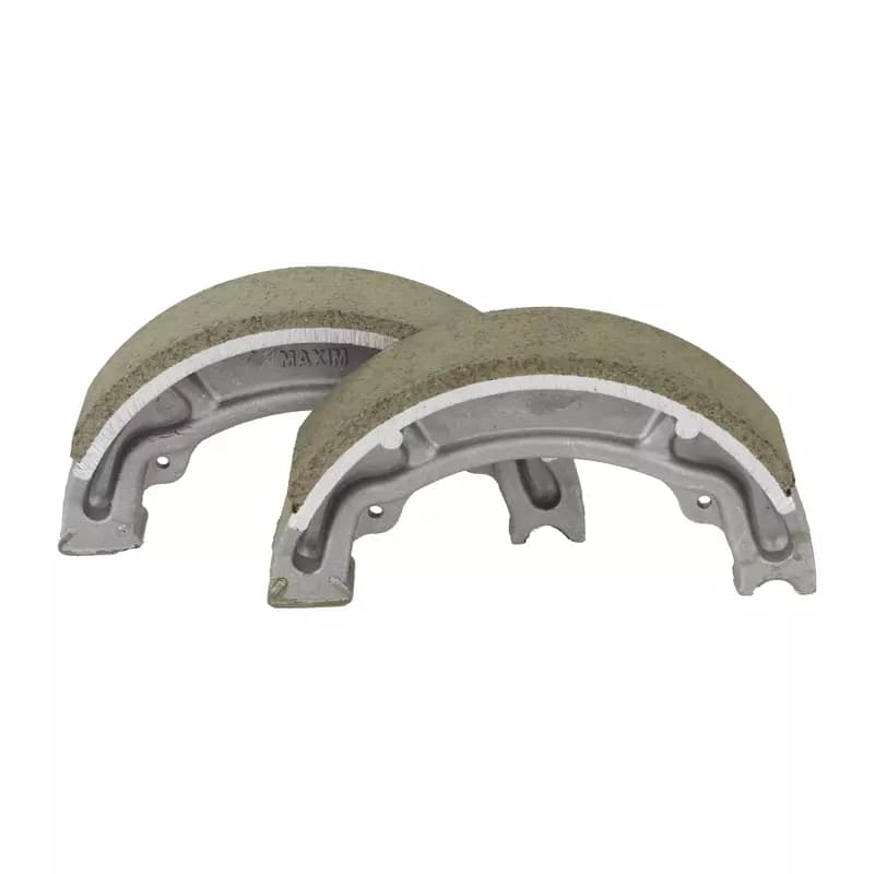 لنت کاسه ای بزرگ ماکسیم