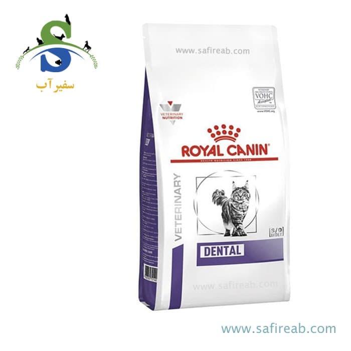 غذای خشک گربه دنتال رویال کنین (۱/۵ کیلوگرم)