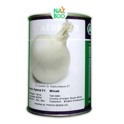 بذر پیاز میناب هیبرید F1