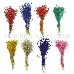 گل خشک مدل جغجغه ای کد 13760