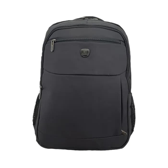 کوله پشتی پرزیدنت 20-9105