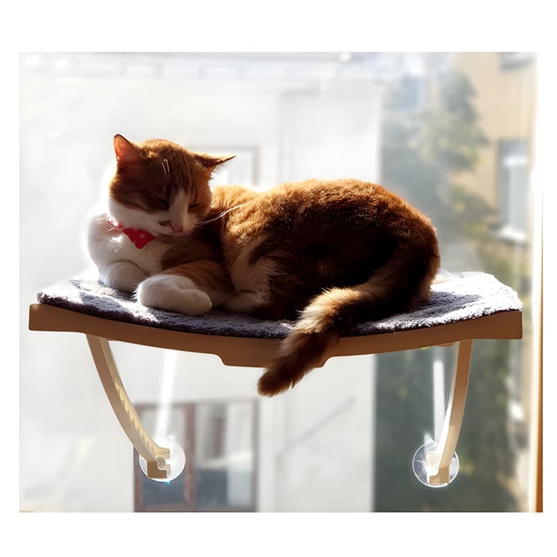 تخت گربه آتاپت مدل پشت شیشهای با پایههای مکنده