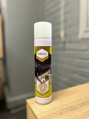 اسپری داشبورد 500 ML