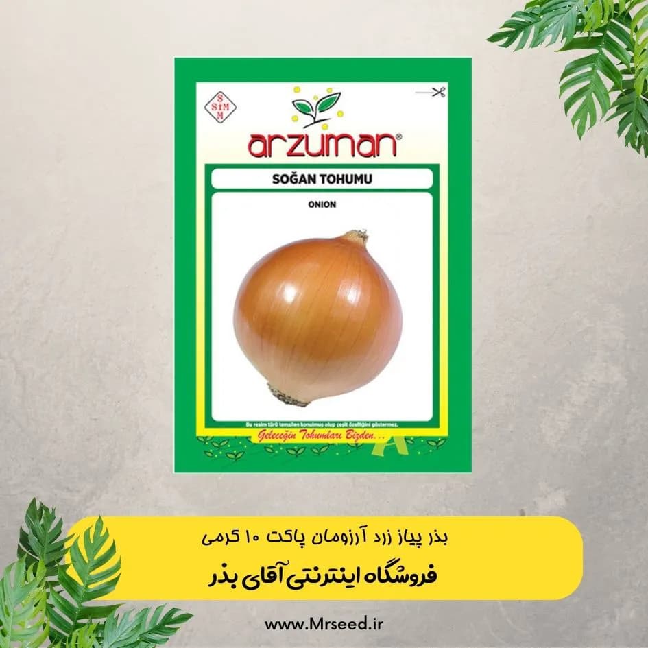 بذر پیاز زرد آرزومان