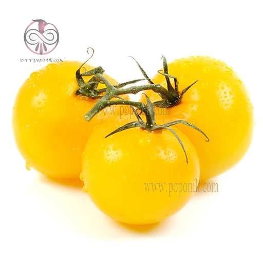 بذر گوجه فرنگی زرد بوته ای
