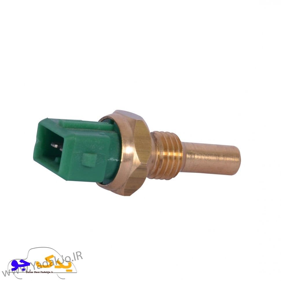 فشنگی آب ۴۰۵ سبز دو فیش سامفر