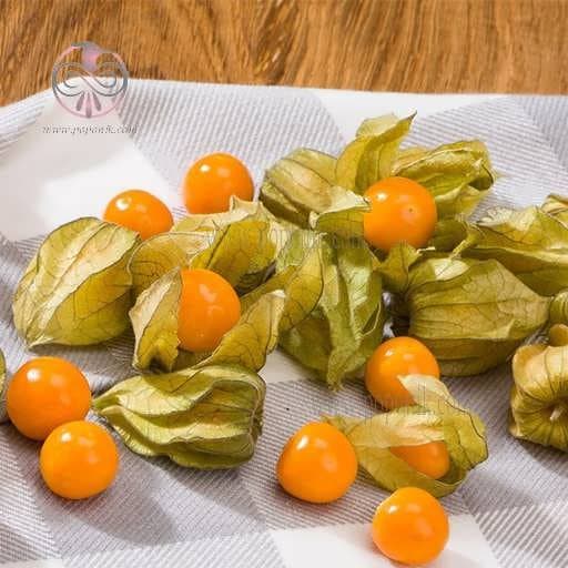 بذر فیسالیس زرد (عروسک پشت پرده)