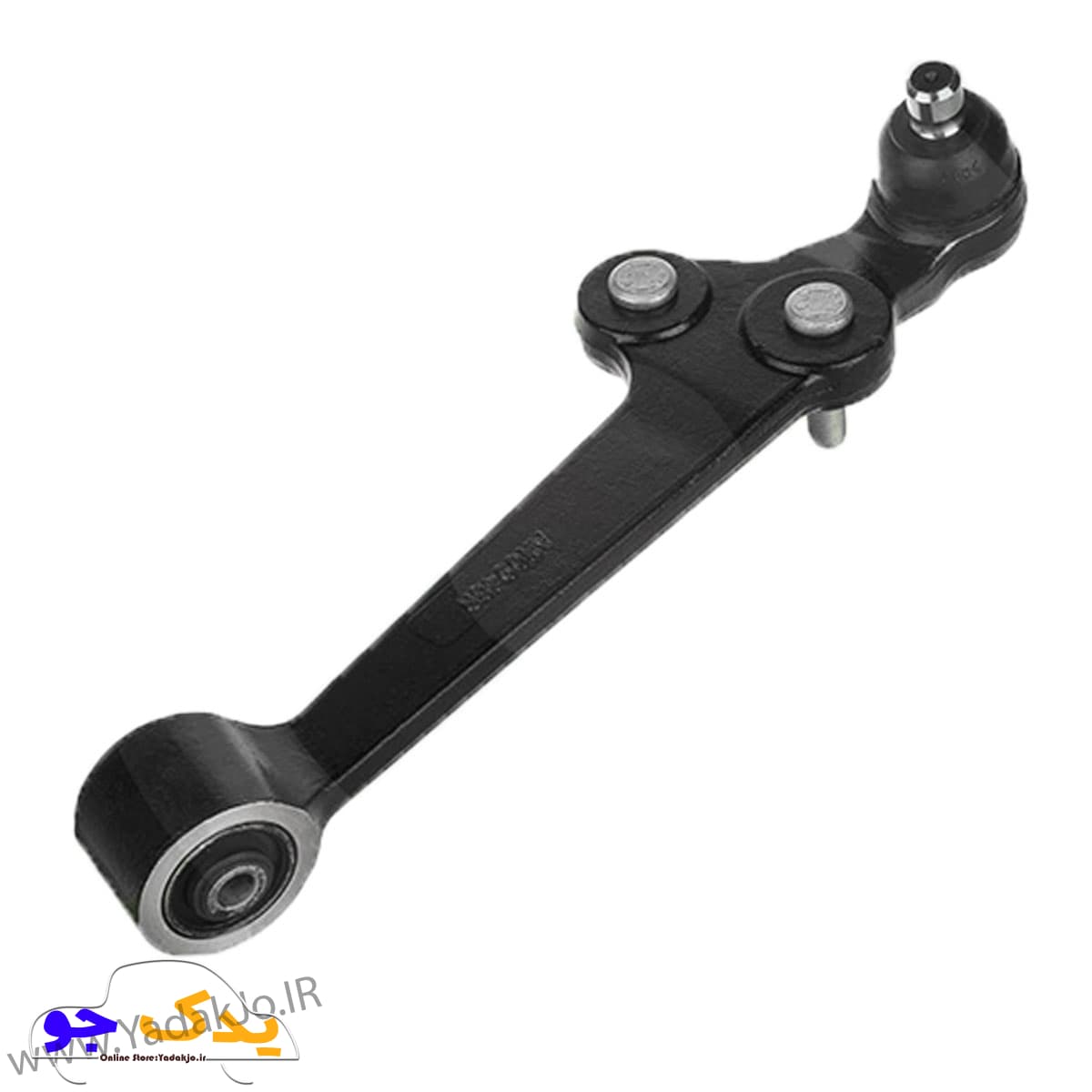 طبق تیبا امیرنیا