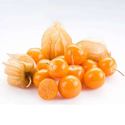 بذر فیسالیس زرد