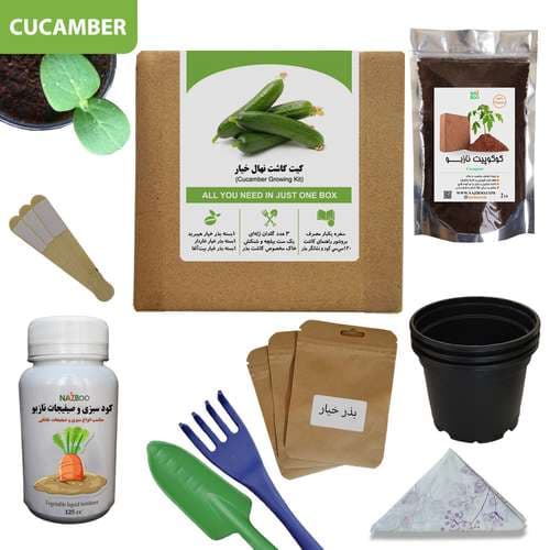 کیت پرورش نهال خیار در خانه
