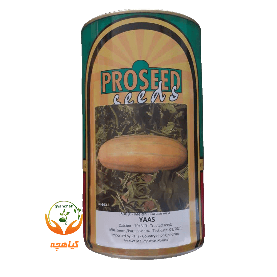 بذر خربزه مشهدی یا خربزه خاتونی یاس پروسید | Melon Yaas Proseed