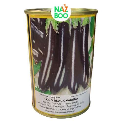 بذر بادمجان قلمی پروسید