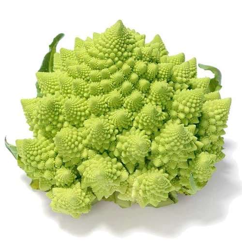 بذر کلم رومانسکو