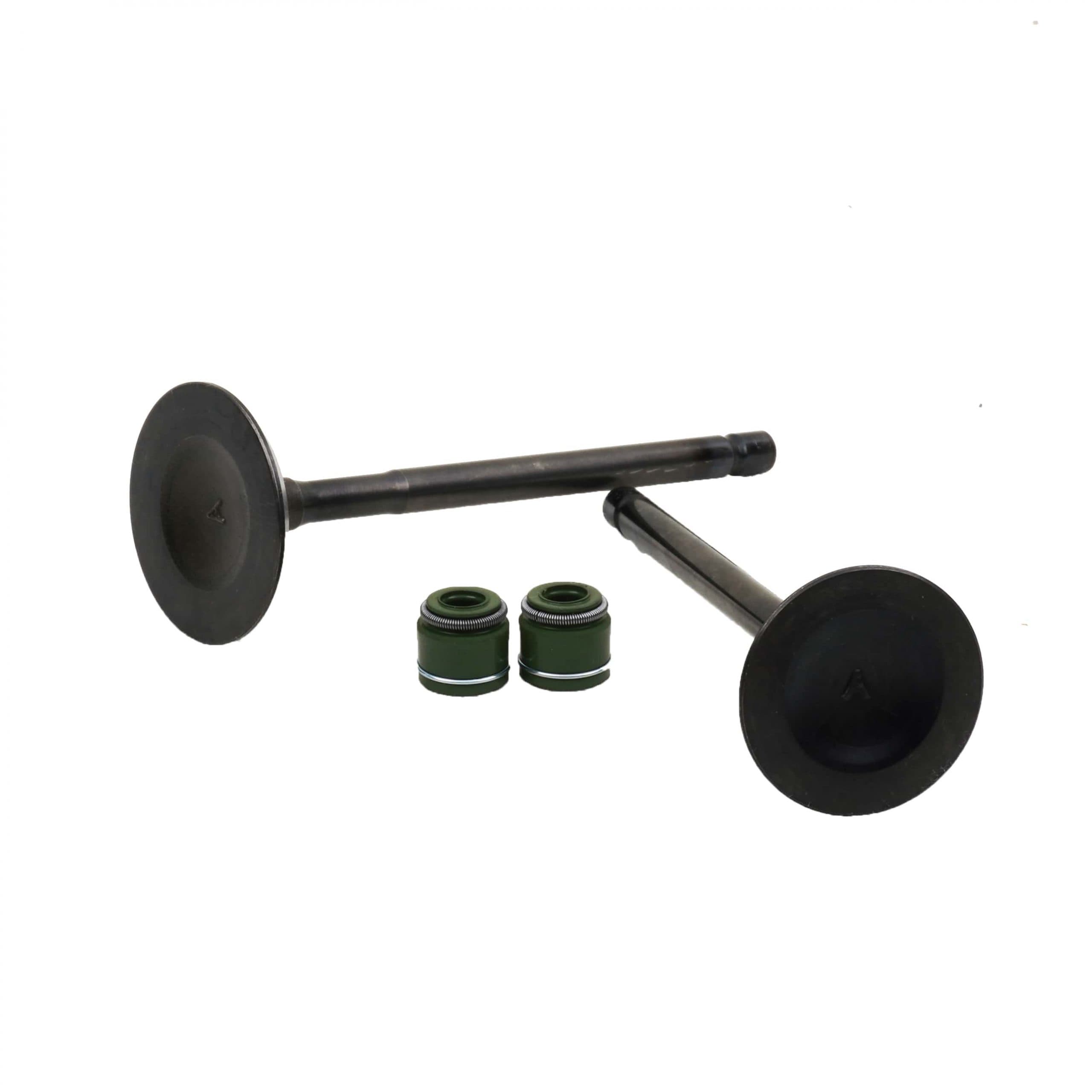 سوپاپ با لاستیک گیت ویگو (اصلی)