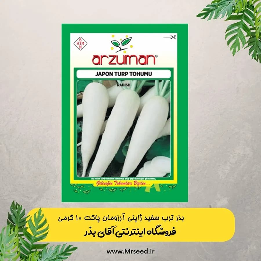 پاکت 10 گرمی بذر ترب سفید ژاپنی آرزومان