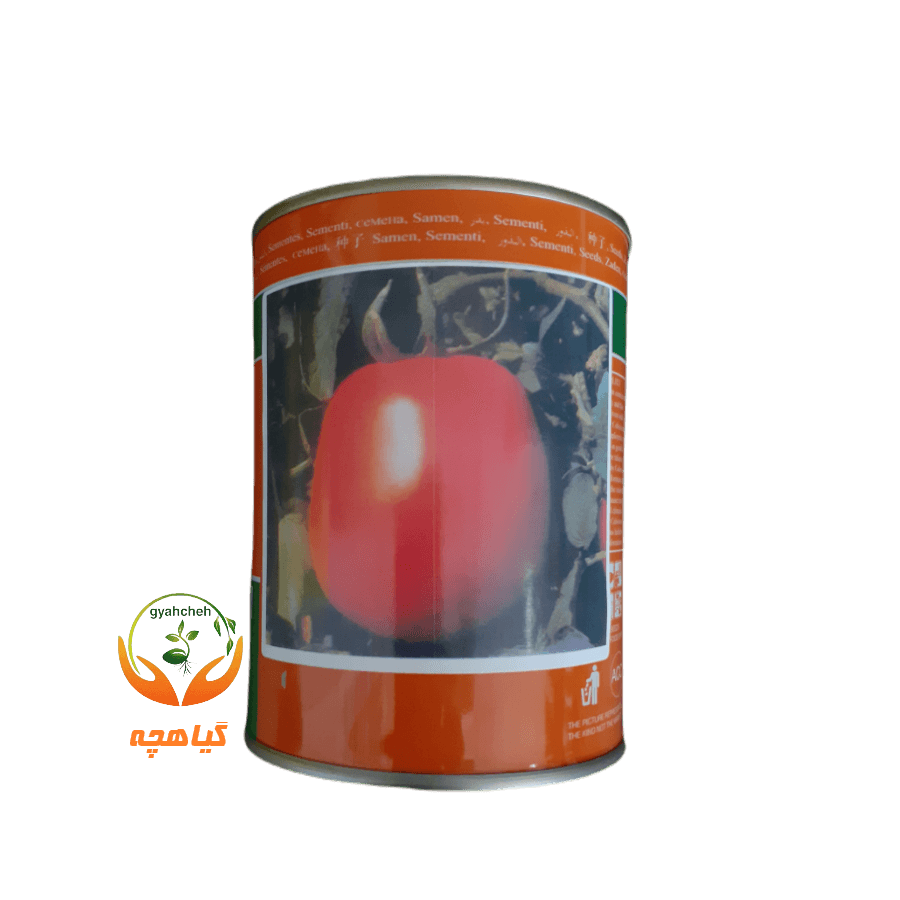 بذر گوجه فرنگی هیبرید مالکوم کولوسئوم سیدز ایتالیا | Malcum F1