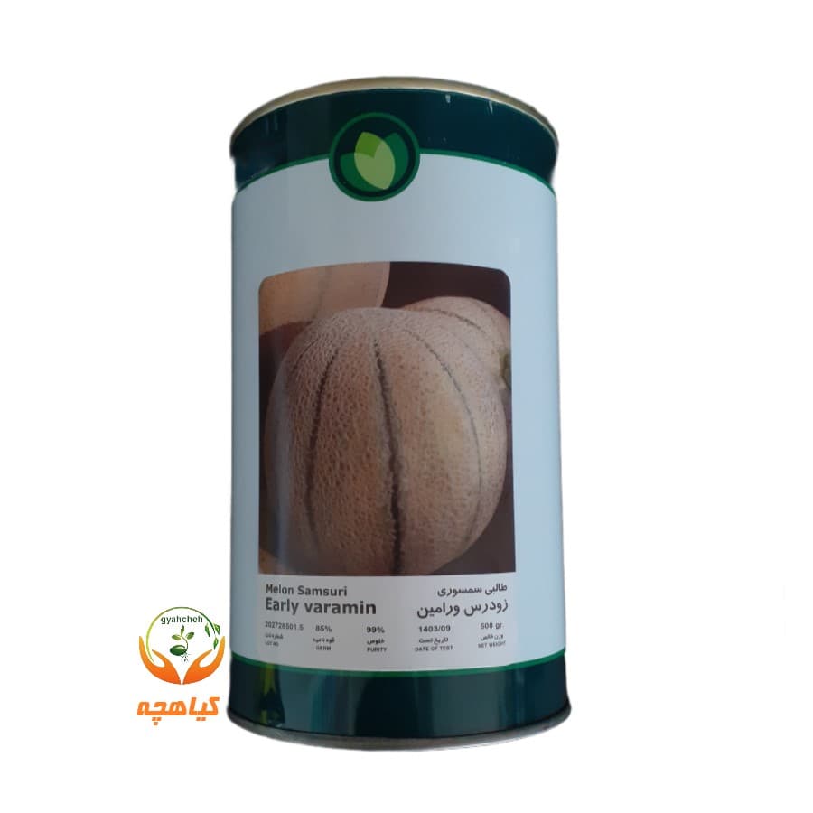 بذر طالبی سمسوری ورامین فلات | Melon Samsuri Early Varamin falat