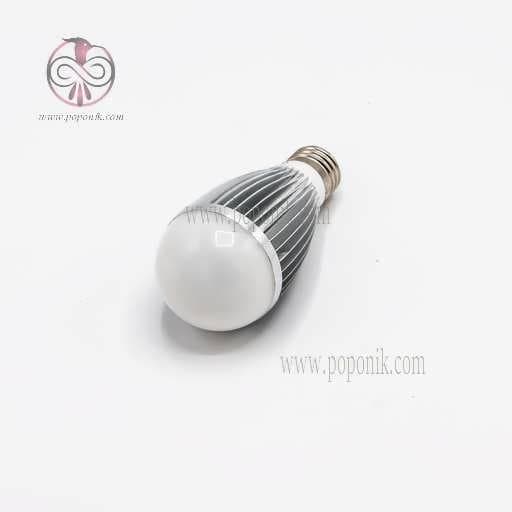 چراغ رشد لامپی