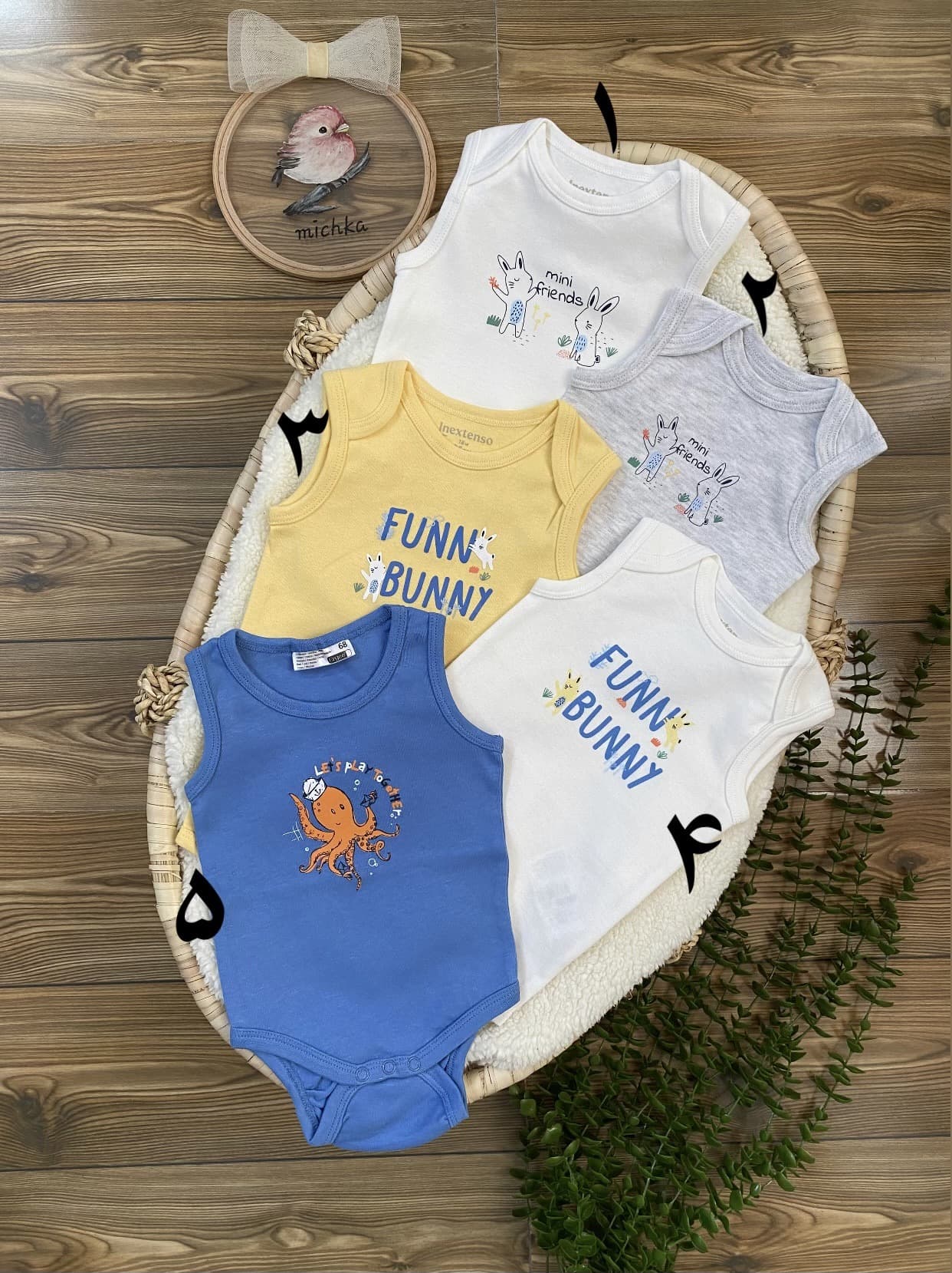 بادی حلقه ای طرحدار