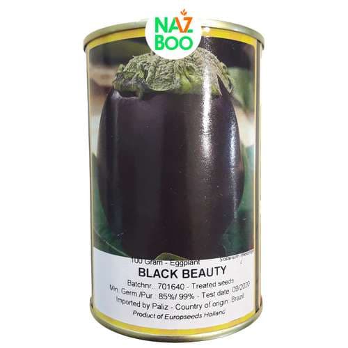 بذر بادمجان دلمه ای پروسید