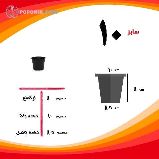گلدان ژله ای سایز 10
