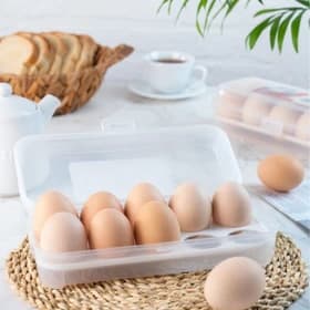 جا تخم مرغی خورشید تک پلاستیک