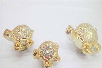 لاک پشت ۳تایی طلایی