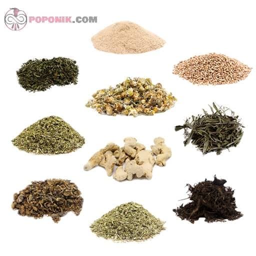 مجموعه گیاهان دارویی مناسب سردرد