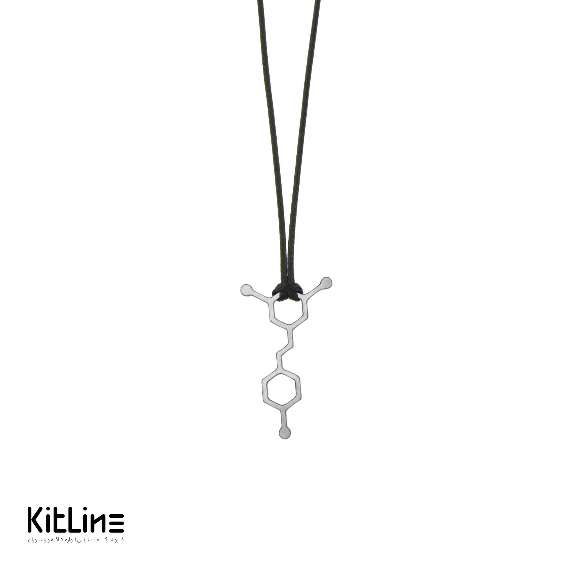 گردنبند بند چرمی با آویز استیل طرح فرمول WINE نقره ای