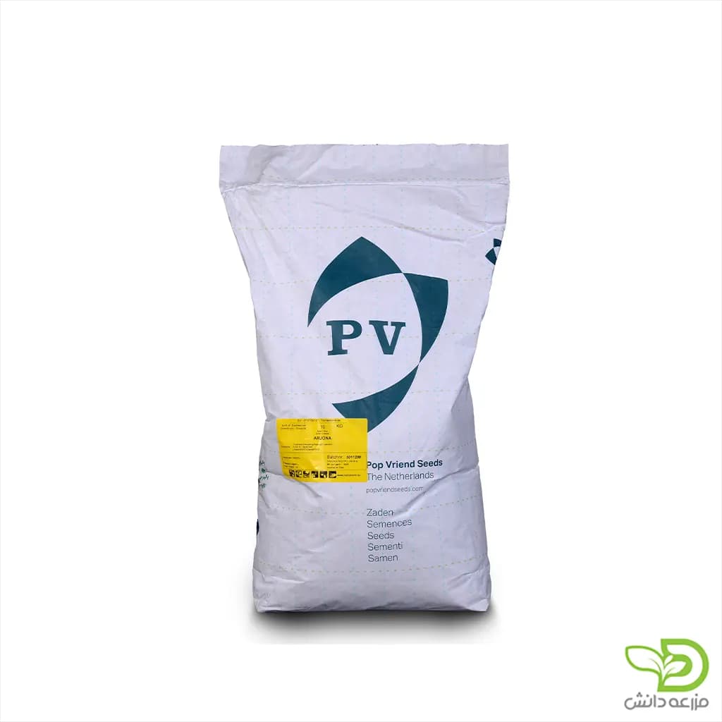 بذر لوبیا سبز آریانا (Arjona) پوپ