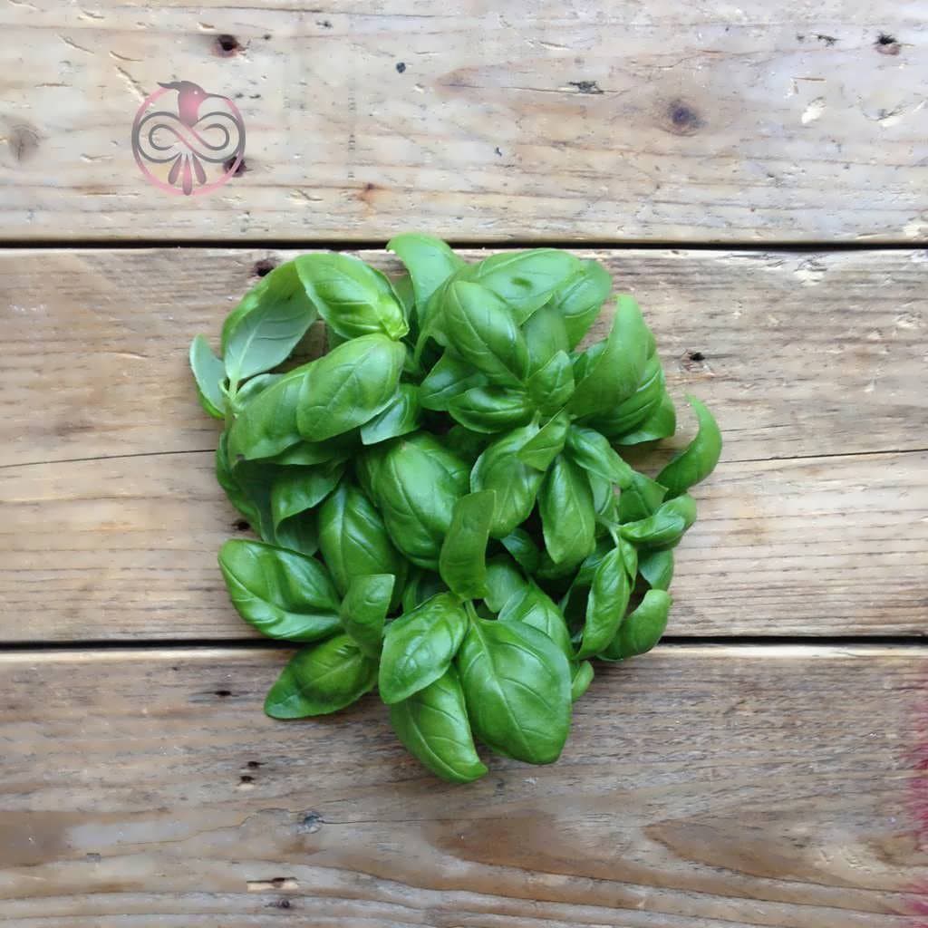 بذر ریحان سبز