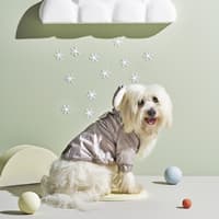 کاپشن سگ کاراجاهوم بافی بژ سایز دو ایکس لارج