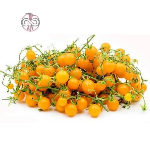 بذر گوجه فرنگی زرد بسیار ریز