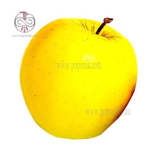 بذر سیب زرد